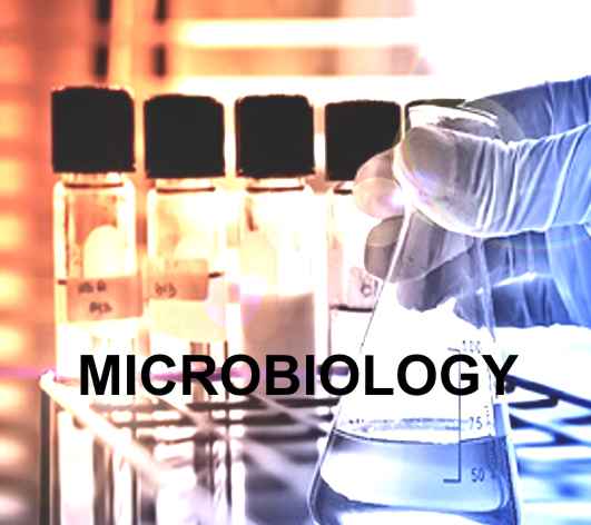MICROBIOLY