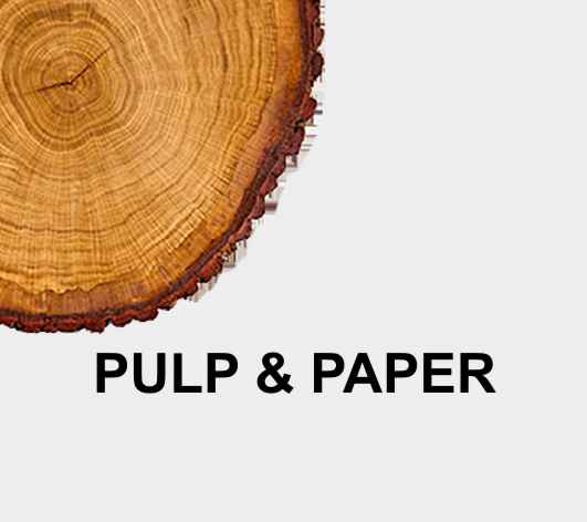 PULP & PAPER